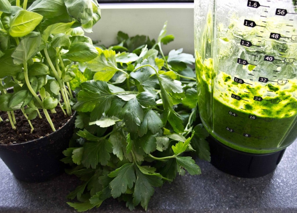 grøn pesto
