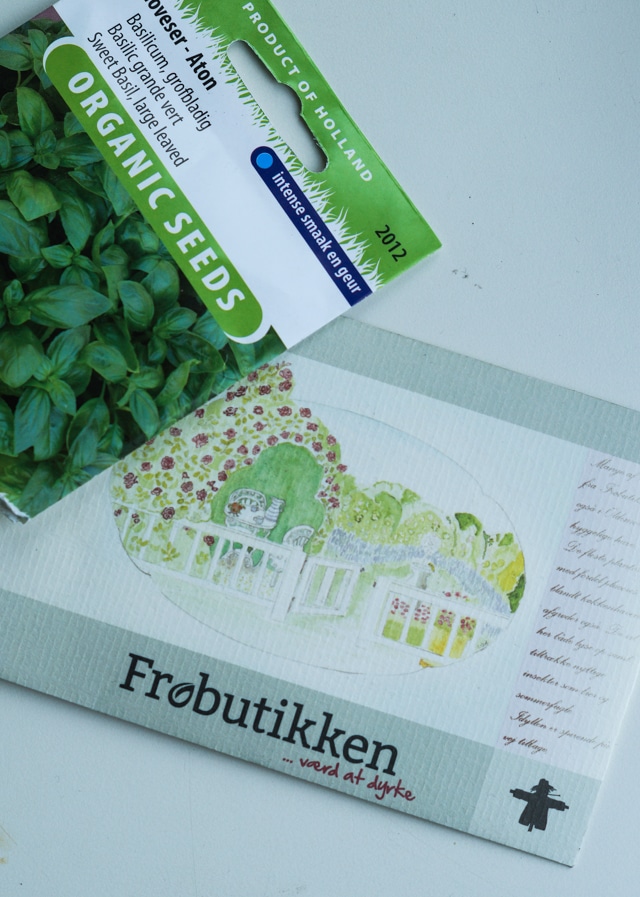 urbangarden-4