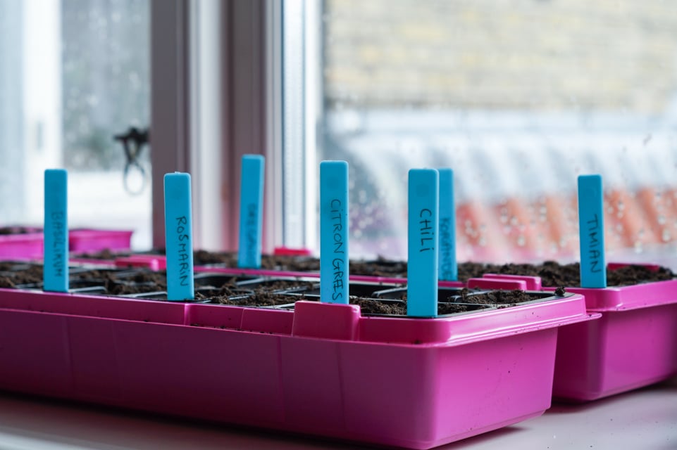 urbangarden